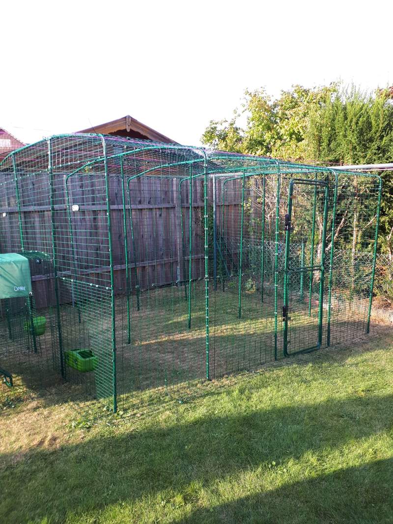 Omlet Walk In Chicken Run Extensions Chicken Coops, Walk in Chicken