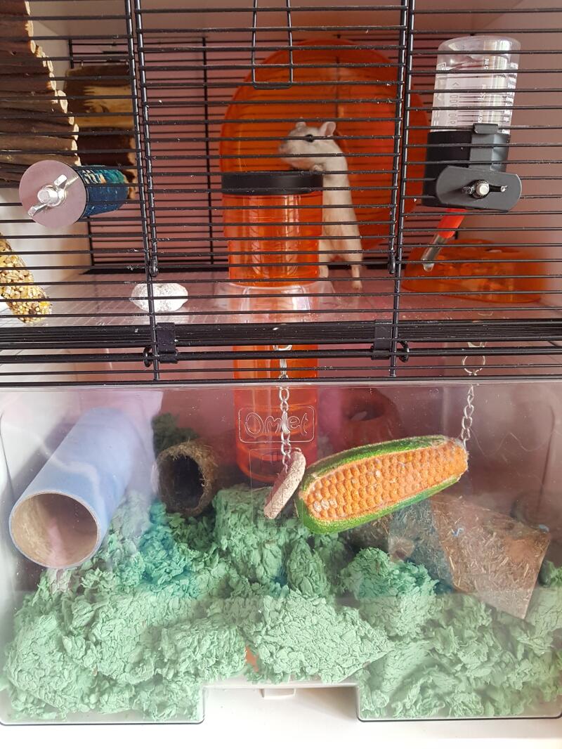 soundproof hamster cage