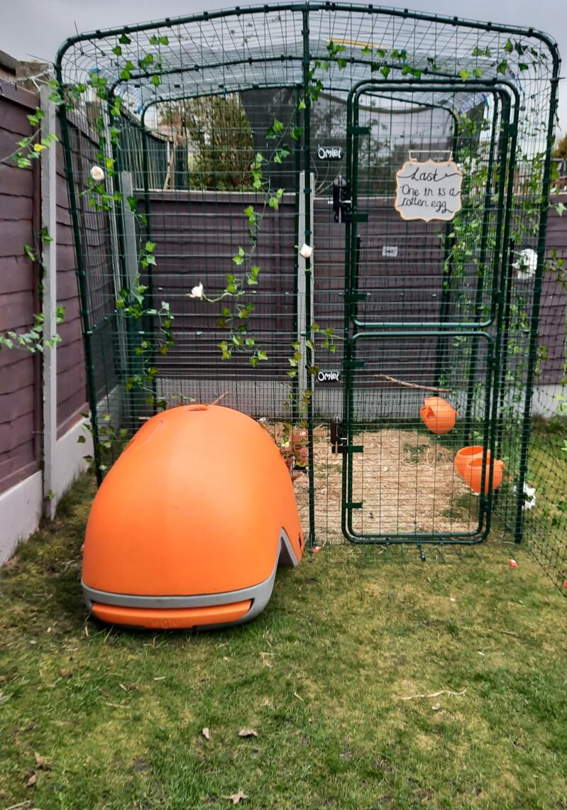 Omlet Walk In Chicken Run Extensions Chicken Coops, Walk in Chicken