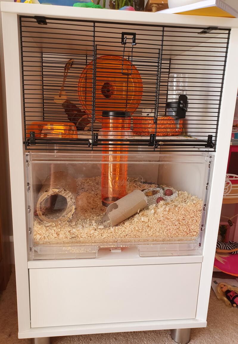 white qute gerbil and hamster cage with storage