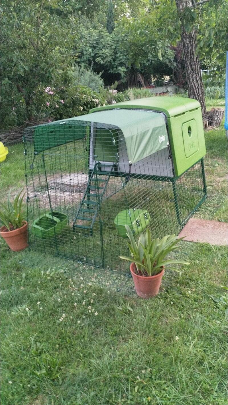 Large Eglu Cube Chicken Coop with Runs Easy to Clean Safe Hen House