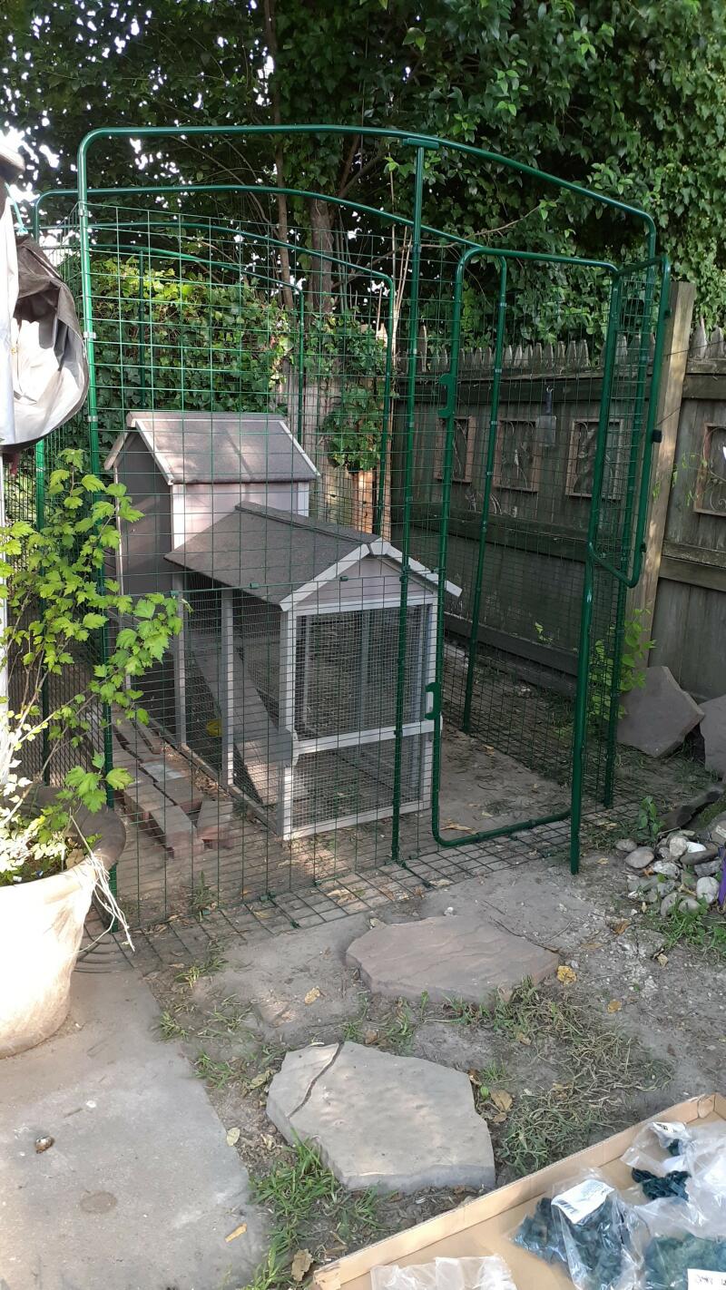 Modern Chicken Coop Eglu Go