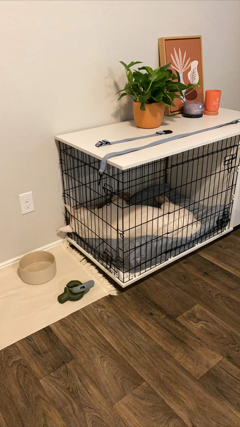 omlet dog crate review