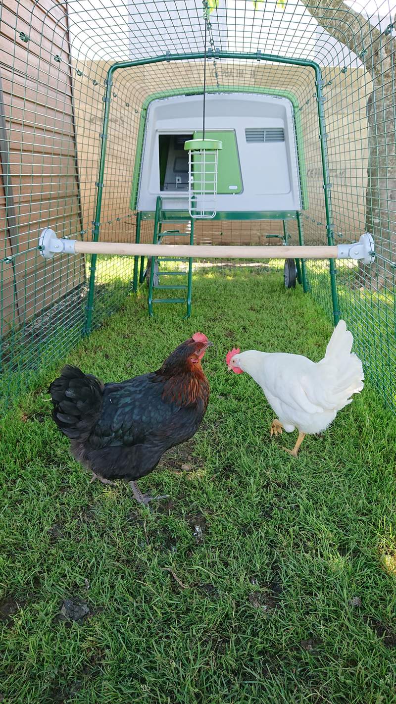 Omlet The Omlet Chicken Perch