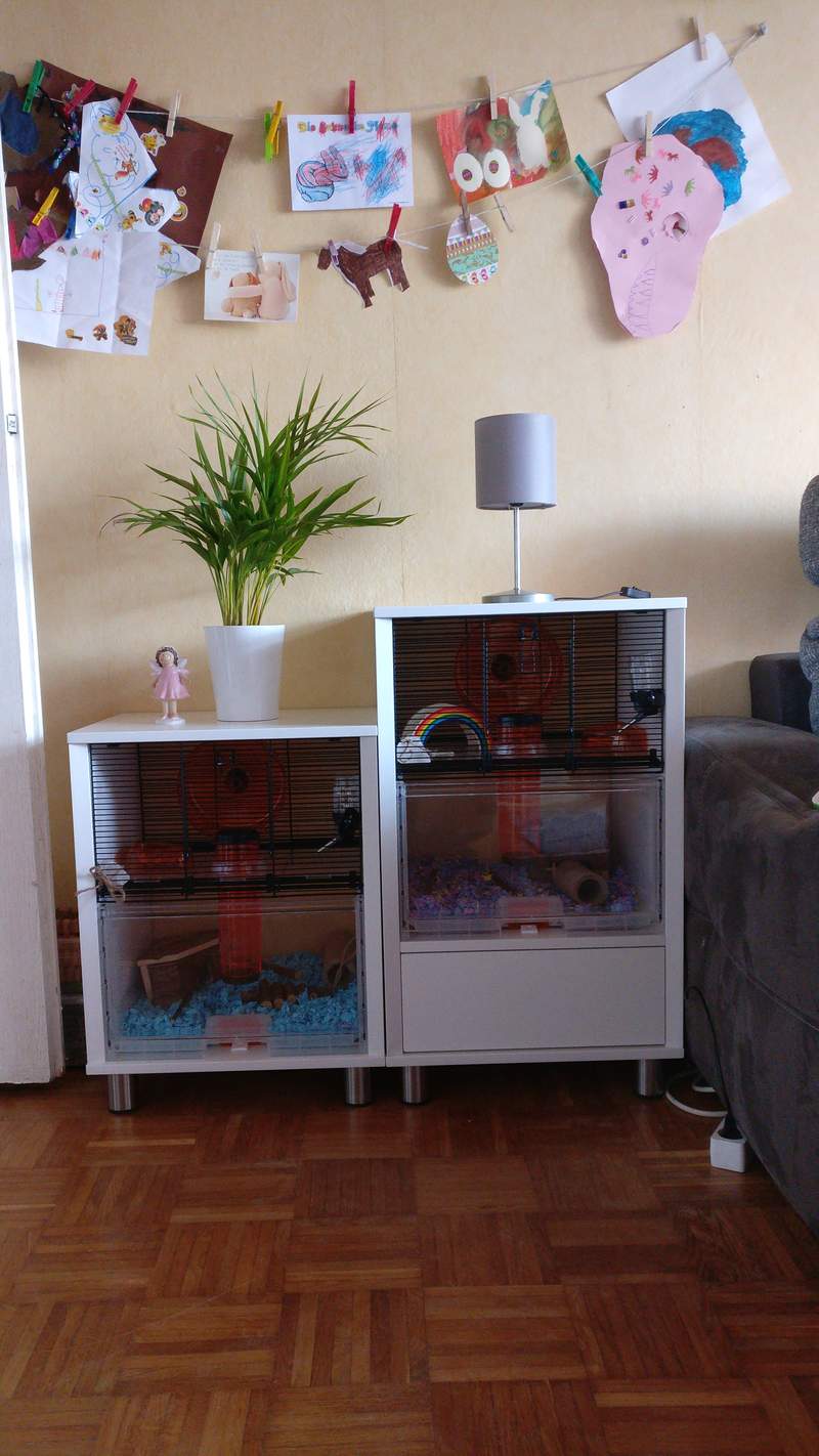 Omlet Usa Omletusa On Pinterest Omlet Usa Omletusa On Pinterest