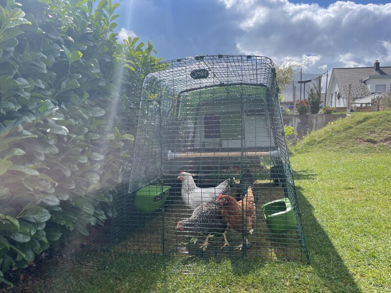 Large Eglu Cube Chicken Coop with Runs Easy to Clean Safe Hen House