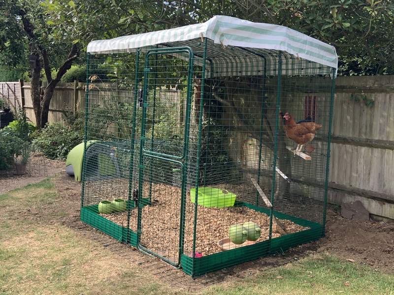 Omlet Walk In Chicken Run Extensions Chicken Coops, Walk in Chicken