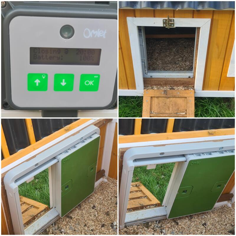 Automatic Chicken Coop Door Opener Omlet Chicken Coops, Walk in