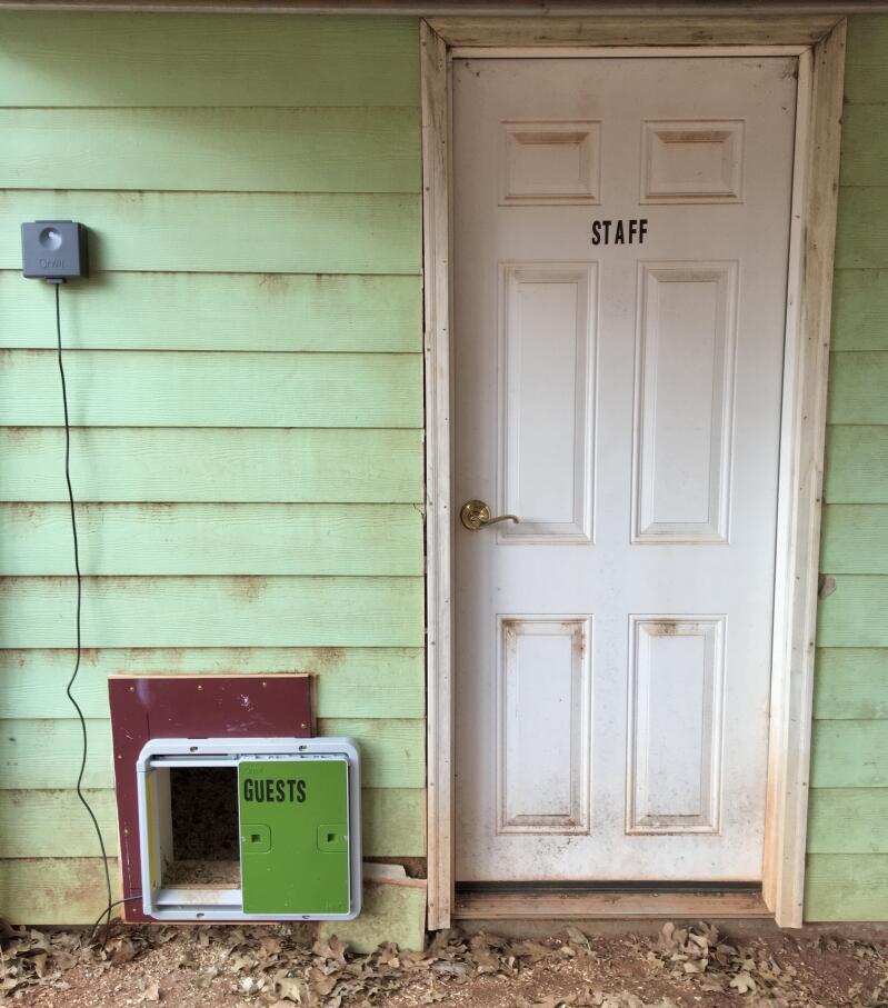 Automatic Chicken Coop Door Opener Green