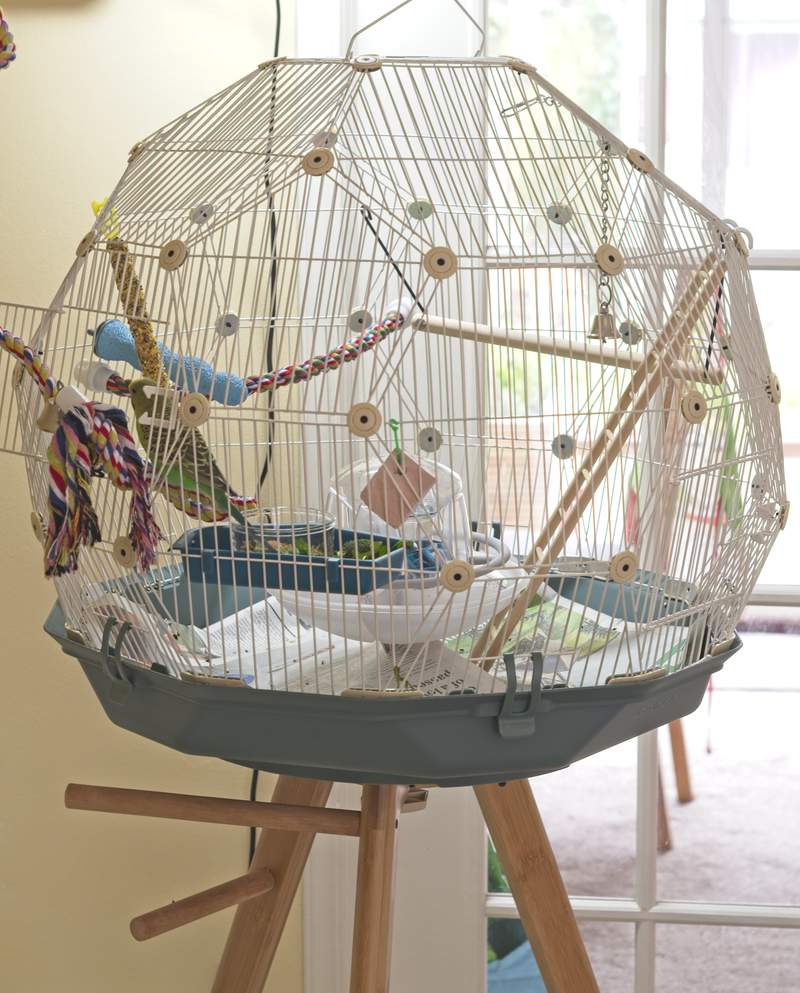 Geo Bird Cage The Beautiful Geodesic Parakeets Cage