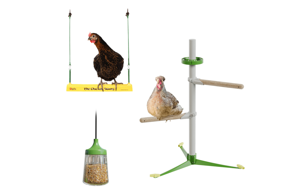 Chicken toys and perches