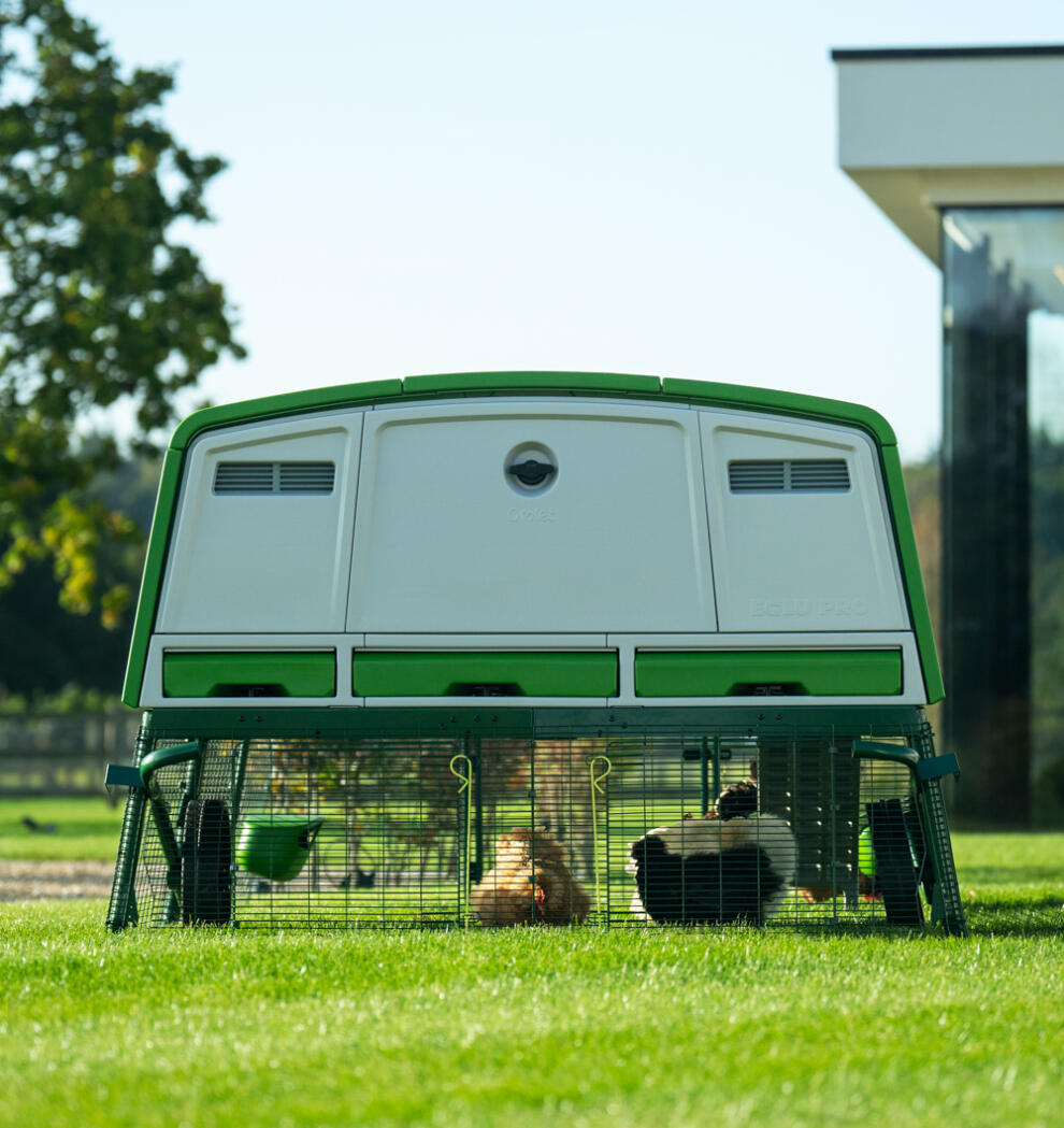 Eglu Pro Extra Large Chicken Coop with Runs Omlet
