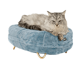 Cat Beds