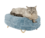 Cozy Cat Beds