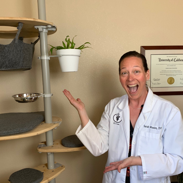 cat keeping webinar Dr. Sarah Wooten in front of Omlet Cat Tree