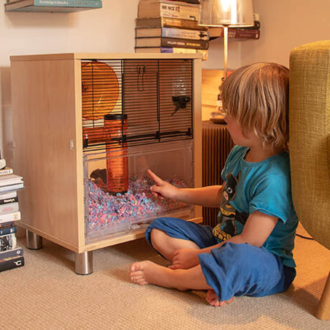hamster room