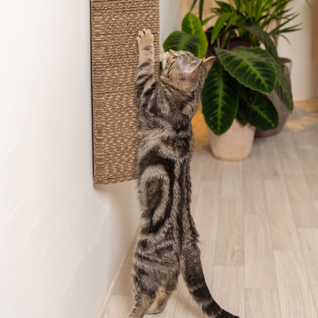 Refillable Cardboard Cat Scratching Post Wall Mounted Omlet