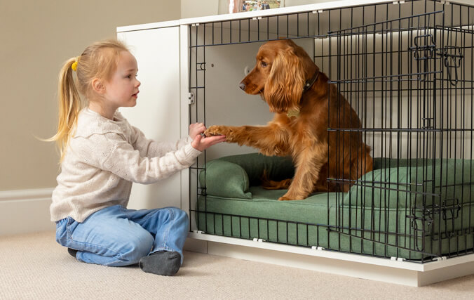 kid playing with a dog