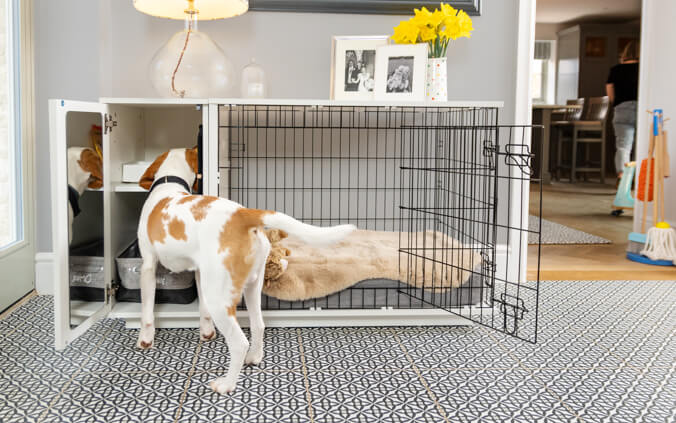 Fido Studio Dog Crate