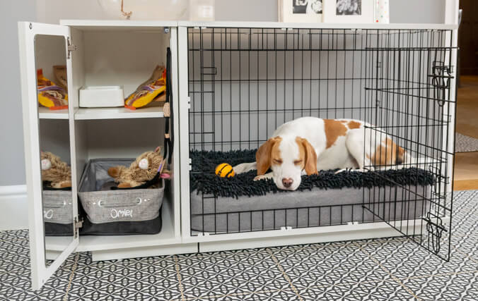 Set up dog clearance crate