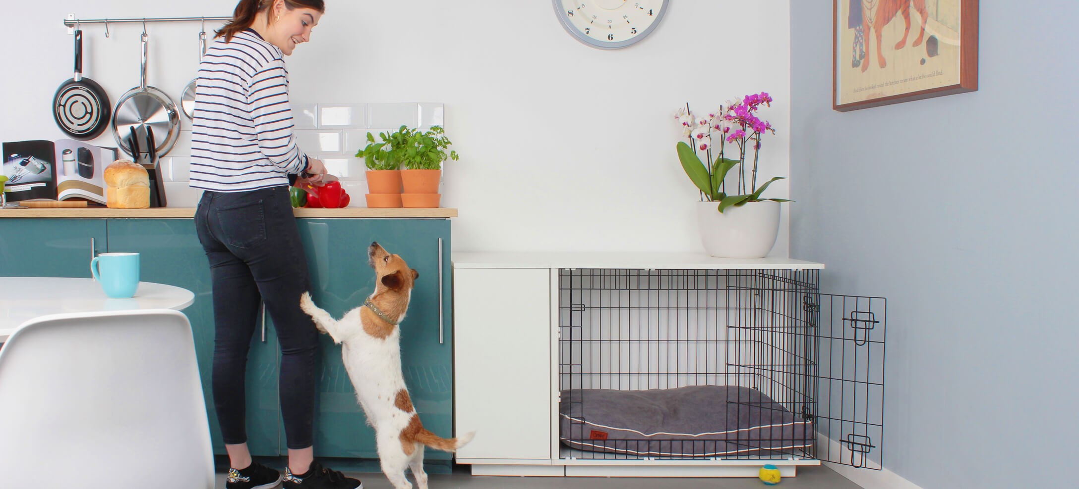 Omlet deals dog crate