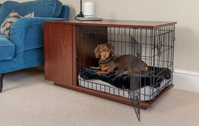 How to Make a Crate More Comfortable