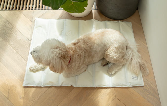 Clean Run Cool Pet Pad Self-Cooling Gel Mats