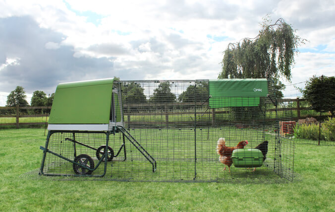 Poulailler portable vert dans le jardin