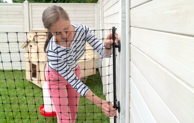 Maximise space by attaching the fencing to a wall Woman attaching Omlet Chicken Fencing to a wooden wall in garden