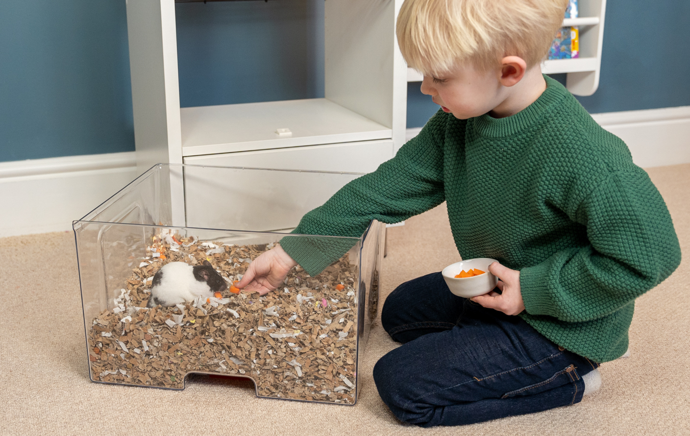 kid feeding a hamster in the beeding tray of a Qute hamster cage