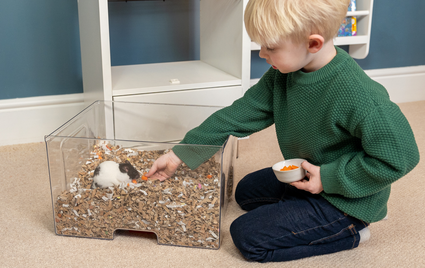 Diy Gerbil Habitat Offers UK | www.pinnaxis.com