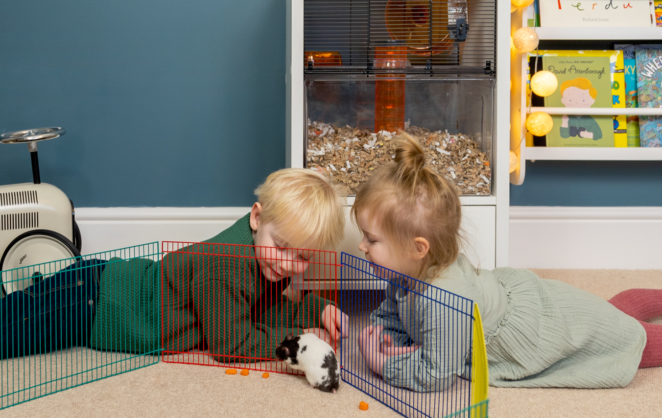 kids playing with hamsters and gerbils