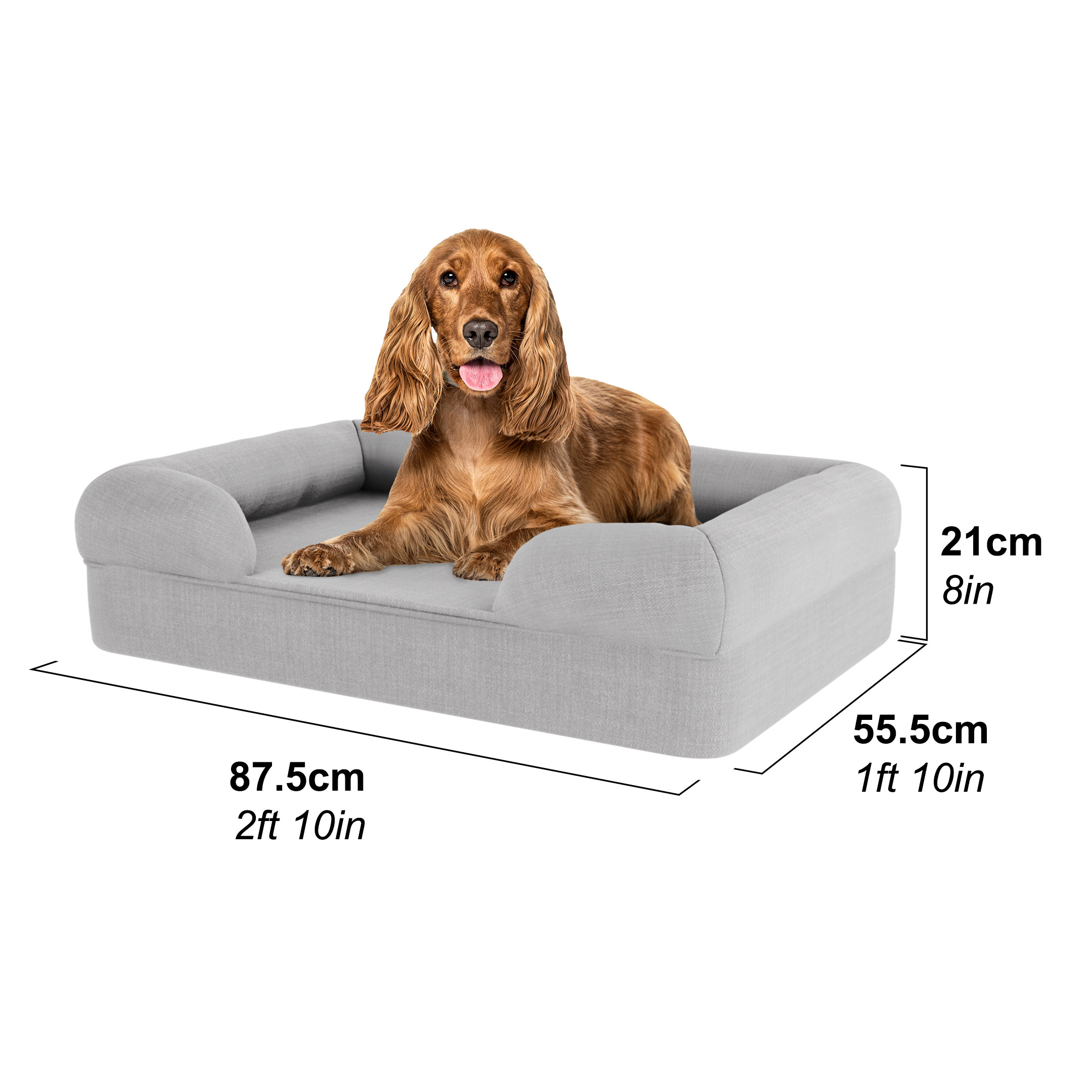 Cocker Spaniel  in a medium dog bed