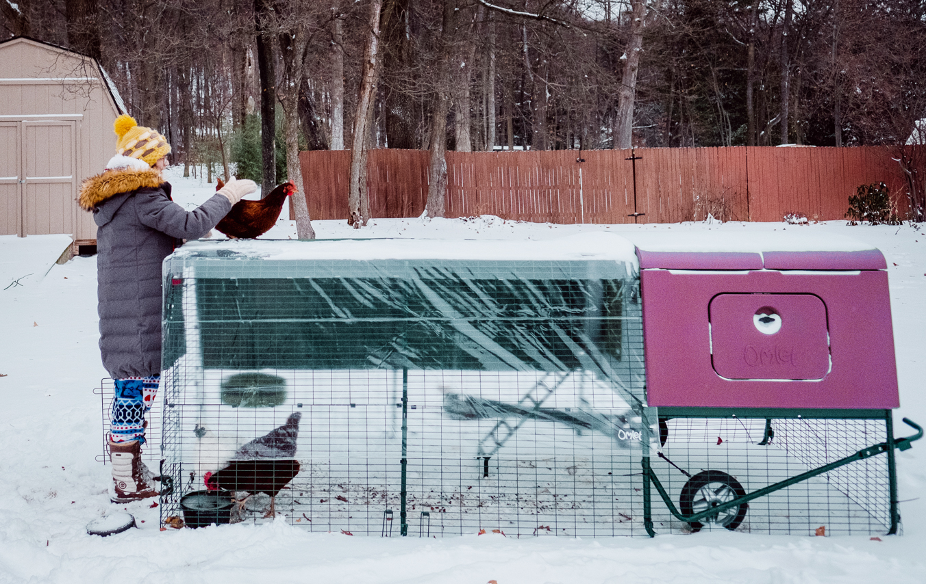 Purple Eglu Cube Large Chicken Coop and Run in the snow.