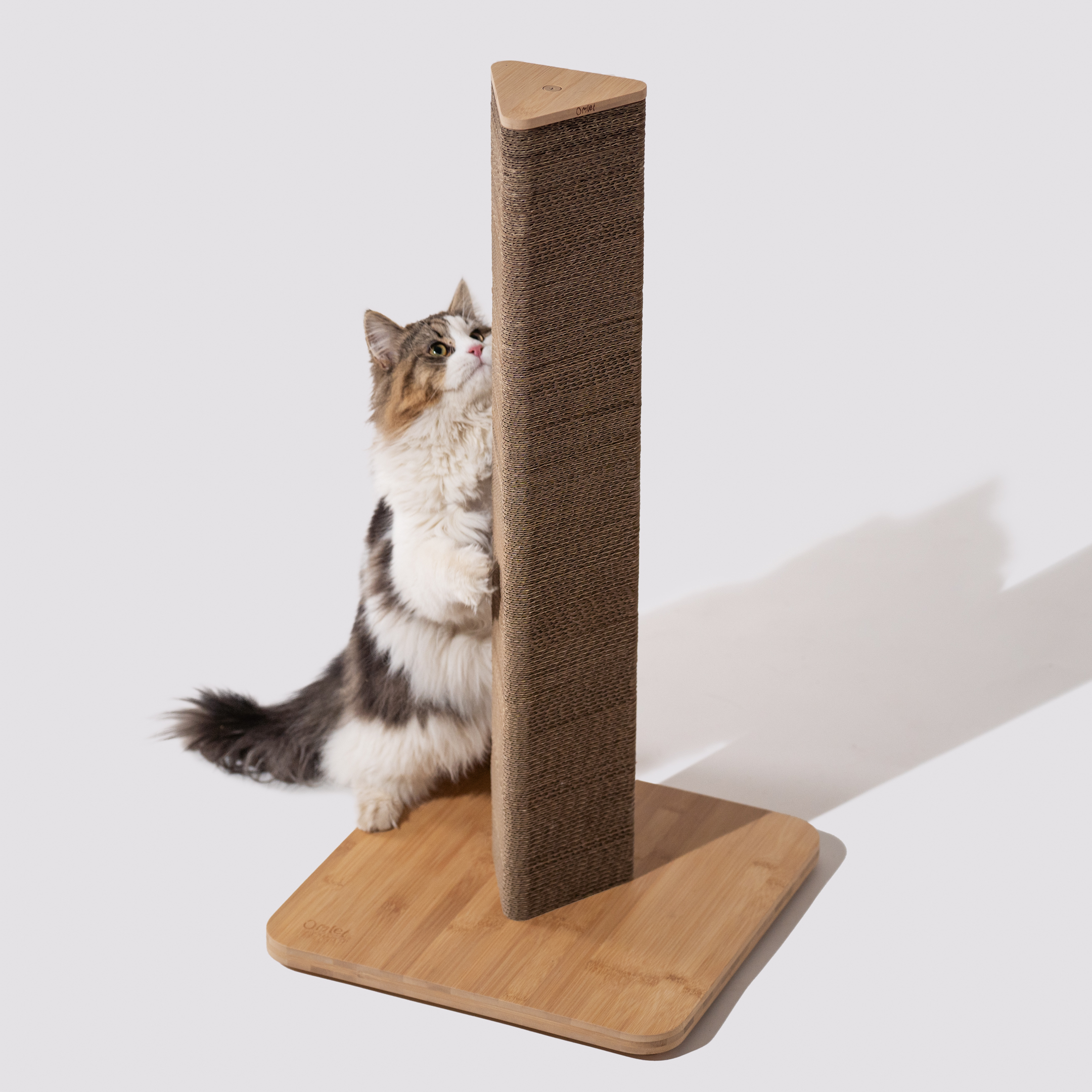 Cat claws can damage furniture