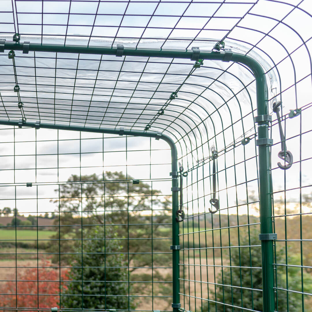 Clear Rabbit Run Cover 6ft x 6ft Omlet