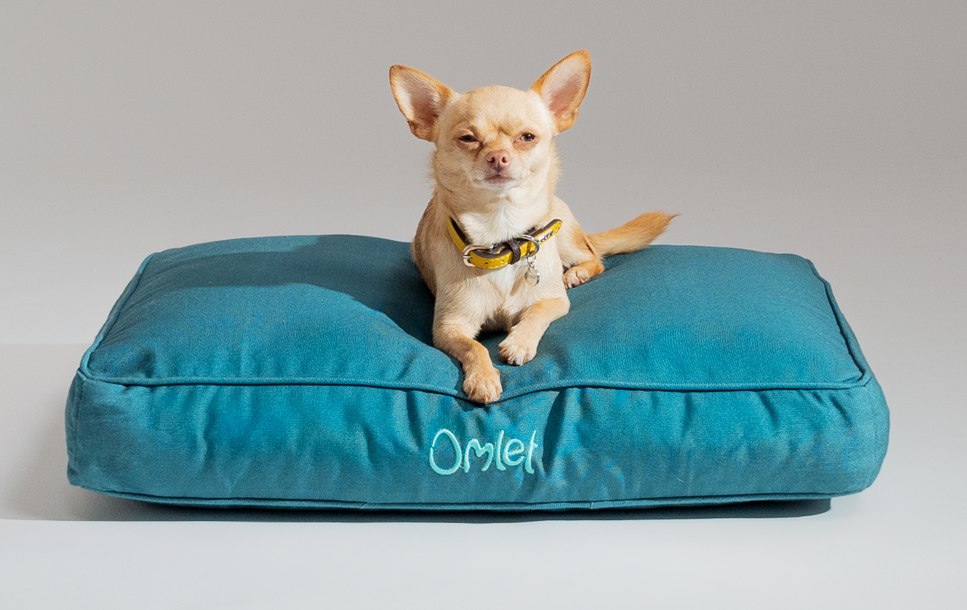 https://www.omlet.us/images/catalog/2023/03/06/chihuahua-on-soft-and-stylish-omlet-cushion-dog-bed.jpg