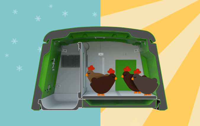 Great in All Weathers, Keeps Hens Warm in Winter and Cool in Summer.