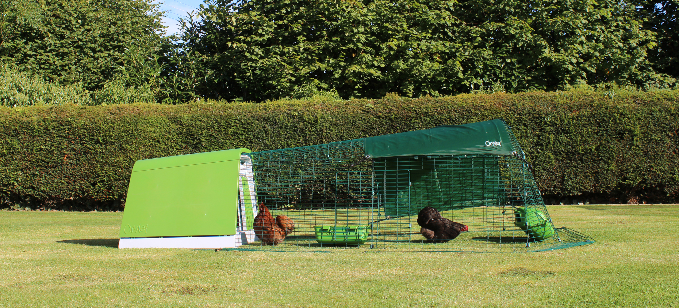 An Eglu Go chicken coop in a backyard with two chickens inside attached run