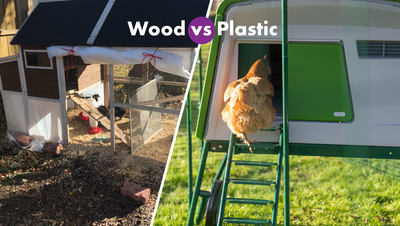 Wood versus plastic chicken coop