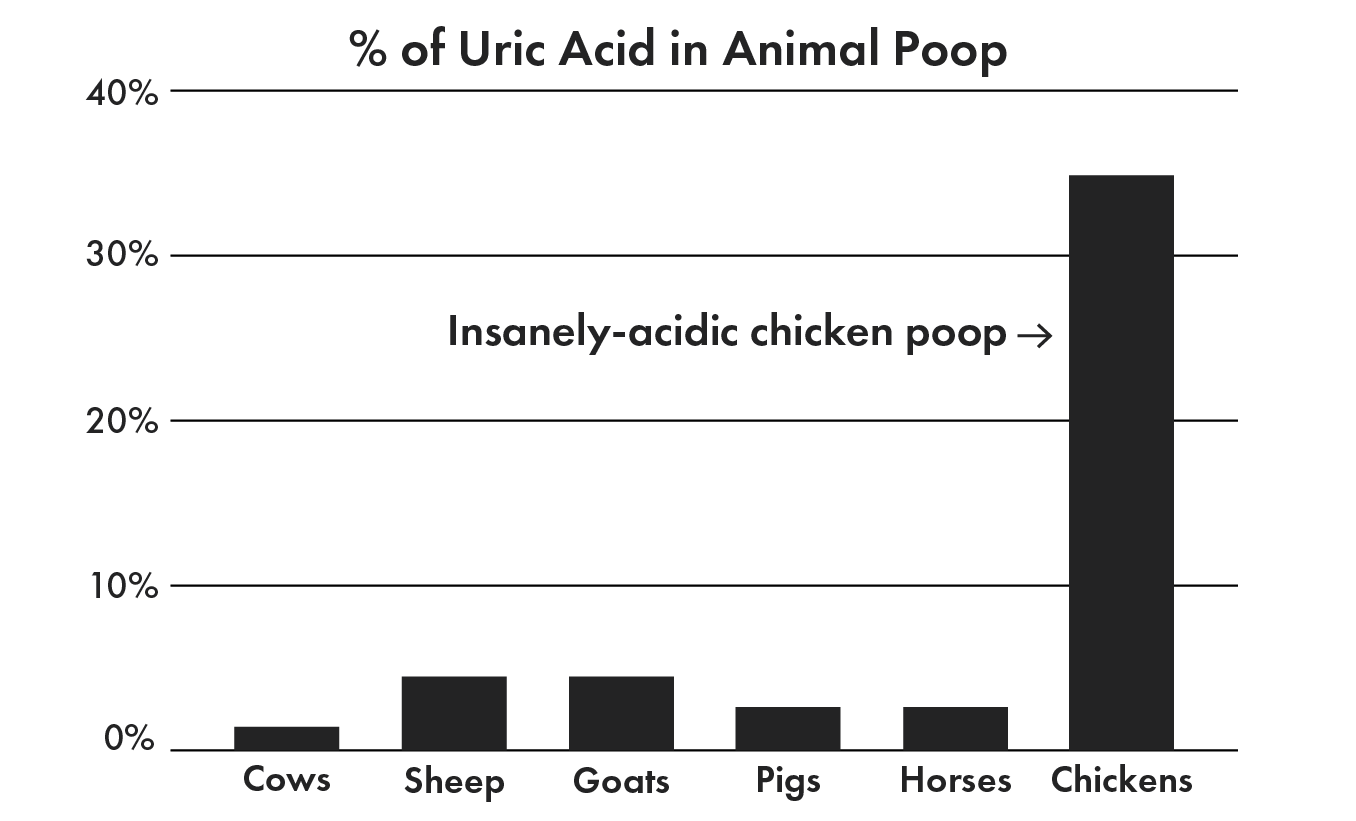 Table showing Uric Acid concentration in livestock poop