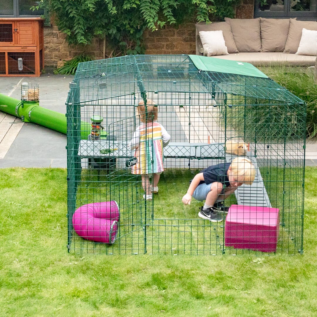 Omlet guinea pig run shop