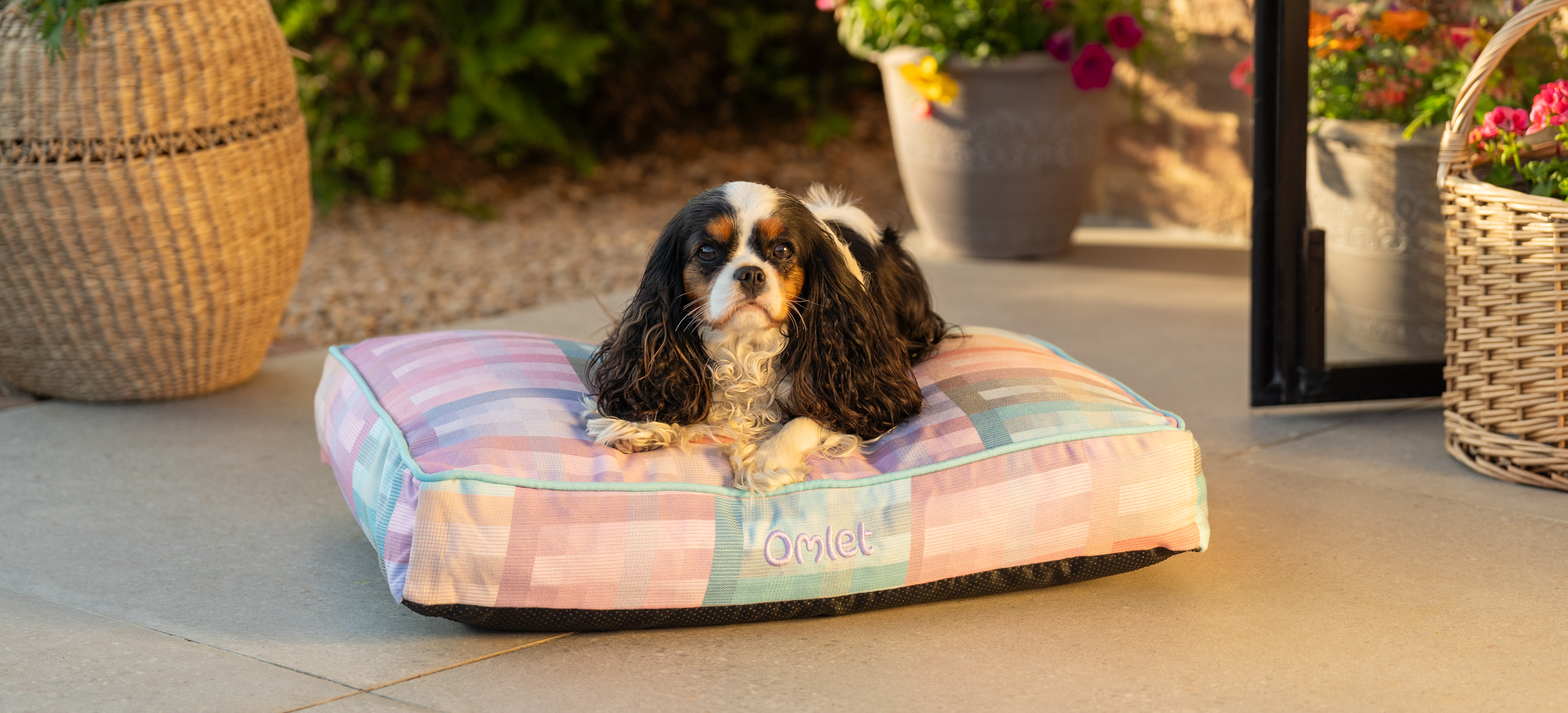 Cavalier King Charles spaniel on their Omlet Cushion dog bed in Prism Kaleidoscope