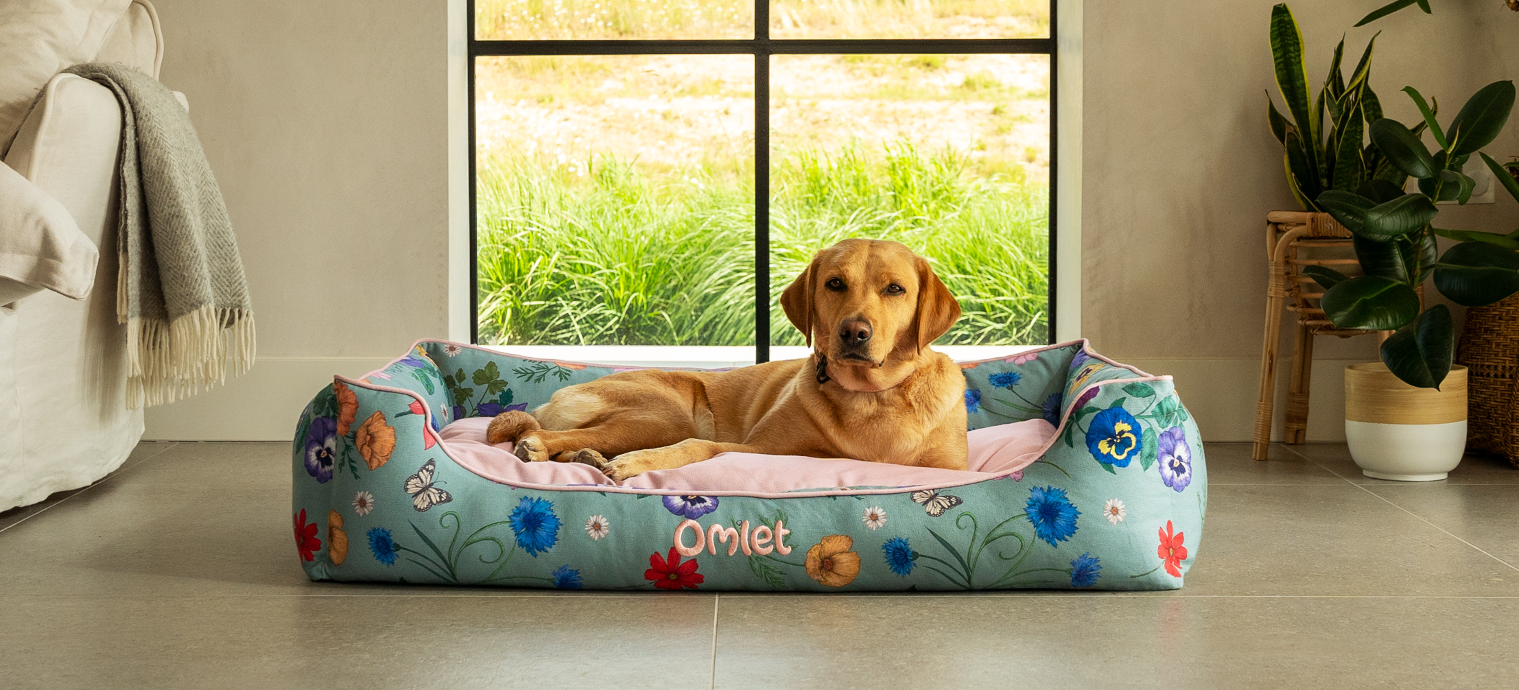 Labrador on Omlet’s Nest dog bed in Gardenia Sage
