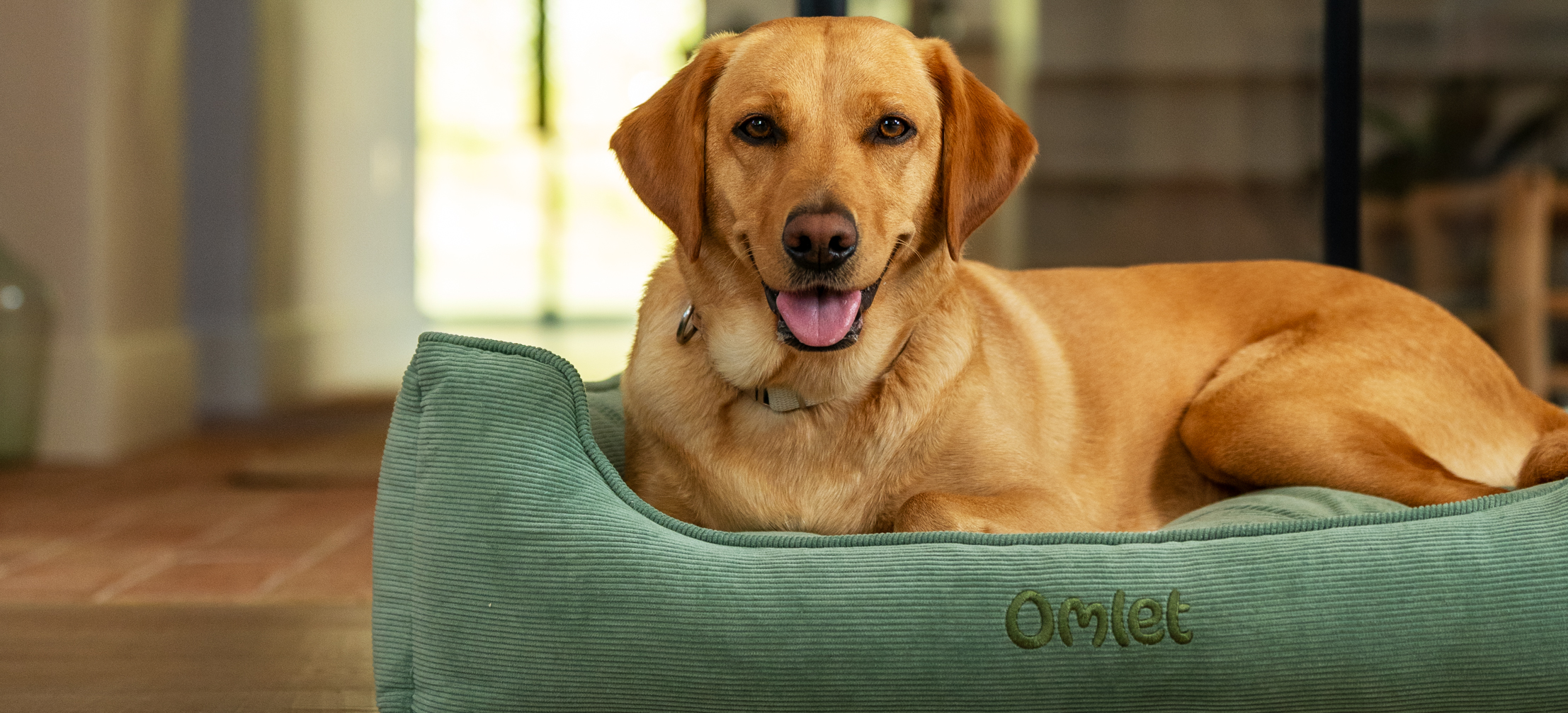 Omlet’s Nest dog bed in Corduroy Moss