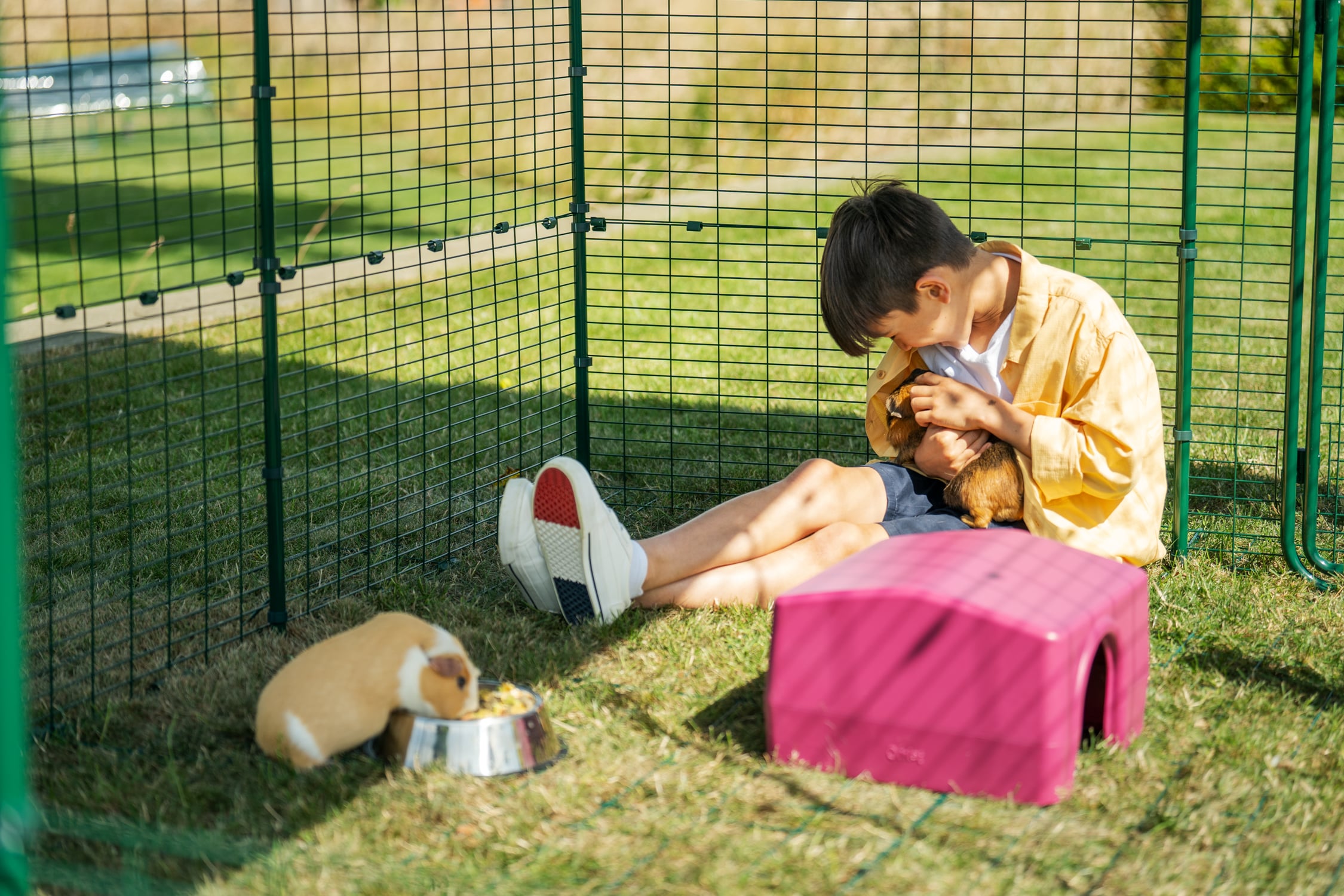 A boy with his two guinea pigs, outdoors in their Omlet Outdoor Guinea Pig Run