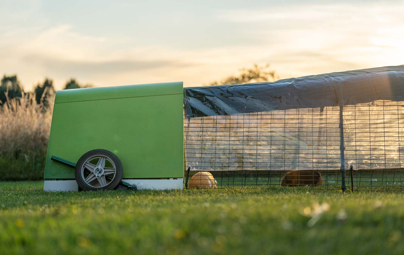 Eglu guinea best sale pig hutch ebay