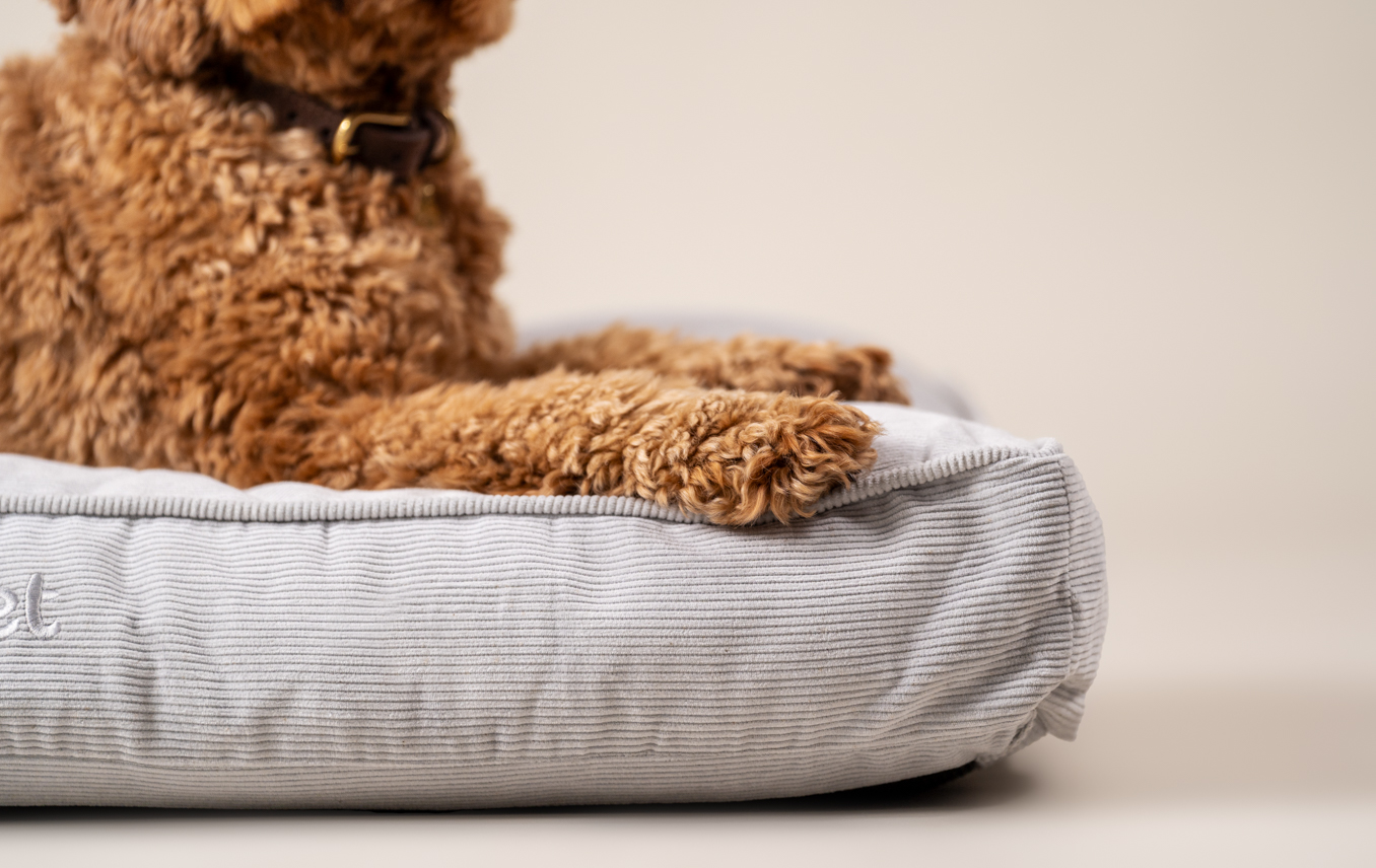 Poodle cross lying on Omlet’s Nest Dog Bed