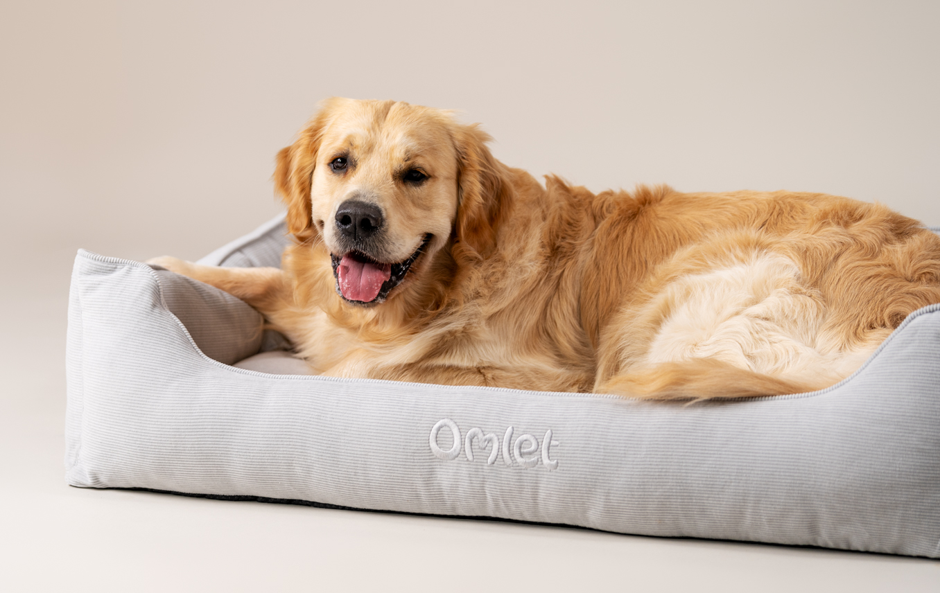 Golden retriever on Omlet’s Nest dog bed in Corduroy Pebble