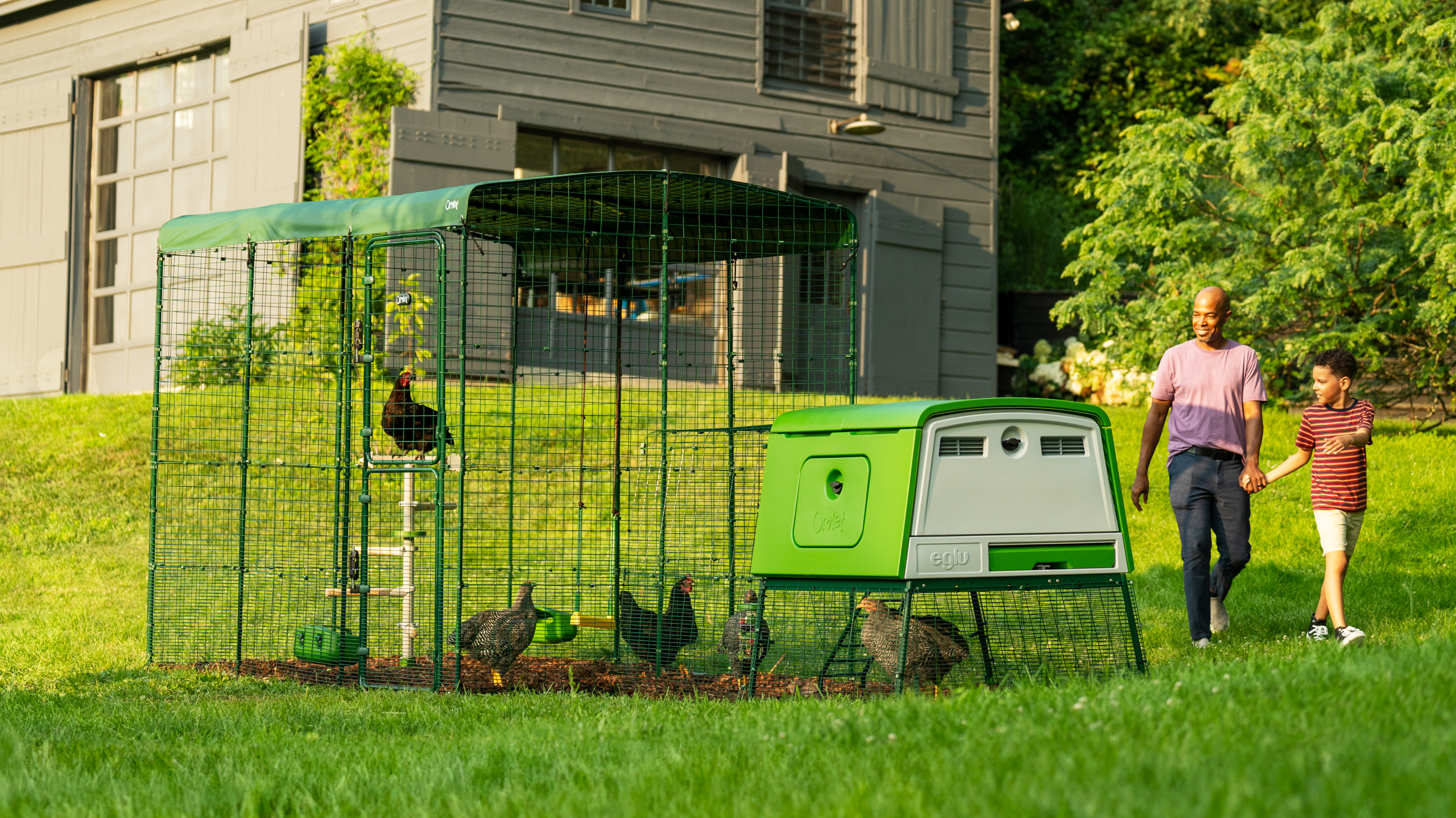 Large Eglu Cube chicken coop and Walk In Run set up on lawn during a sunny day, with a father and son walking by.